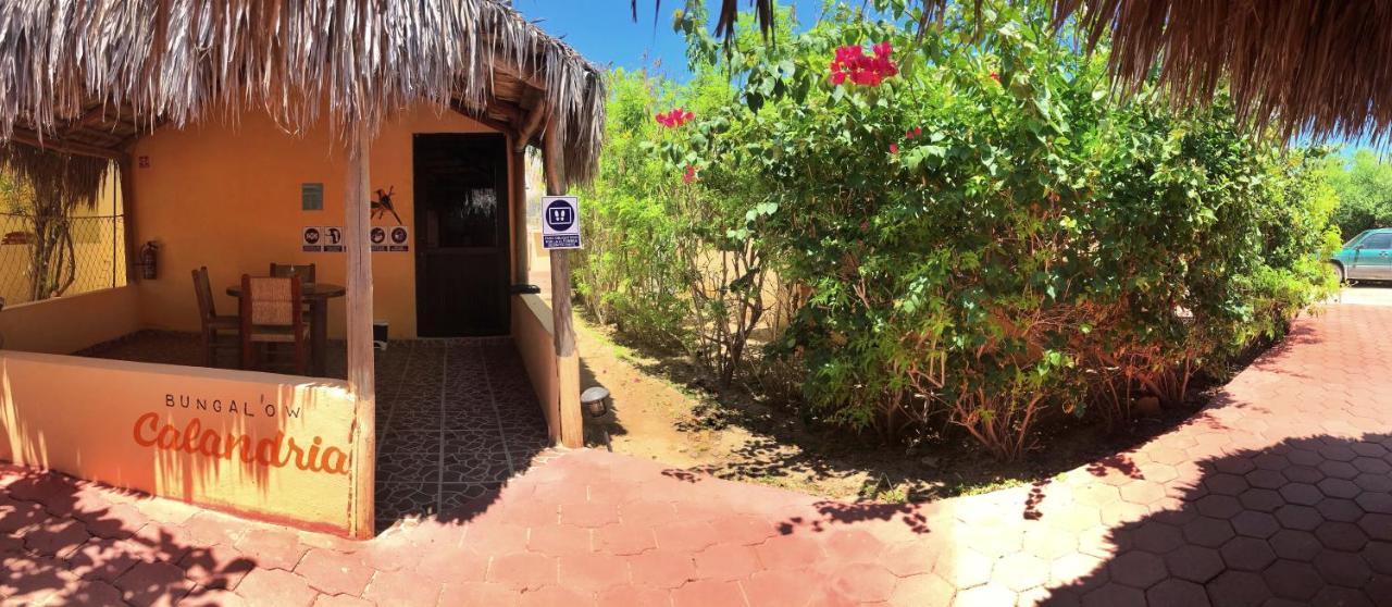 Bungalows Cabo Pulmo Exterior foto