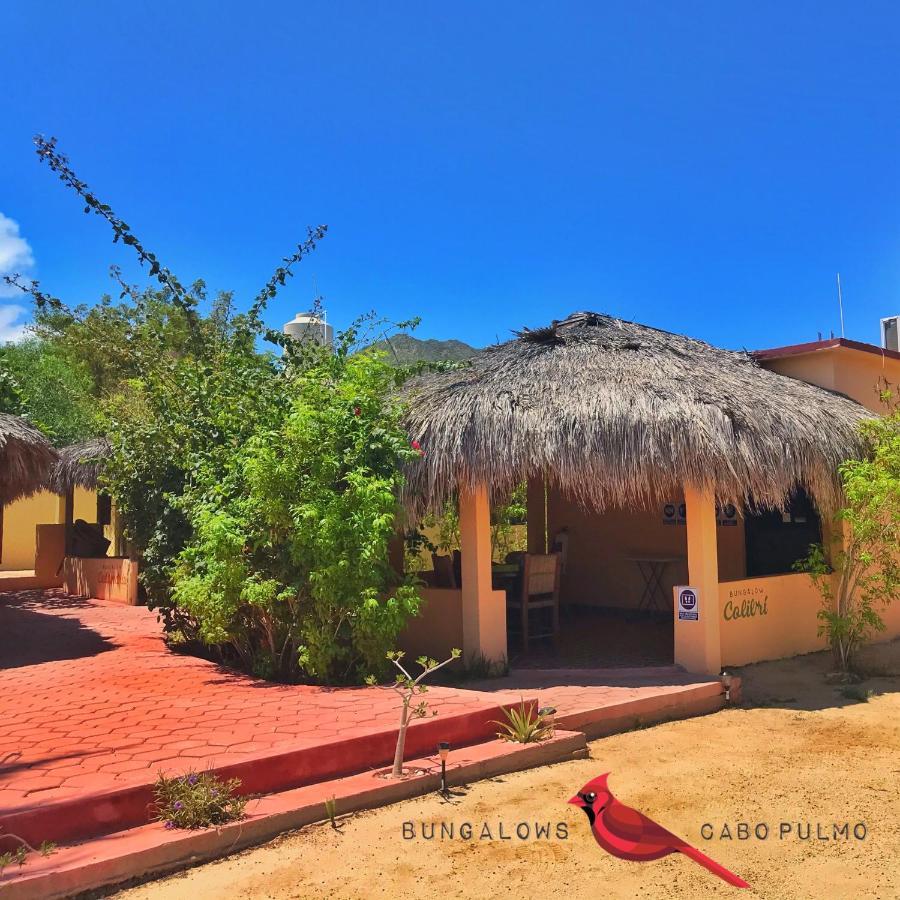 Bungalows Cabo Pulmo Exterior foto