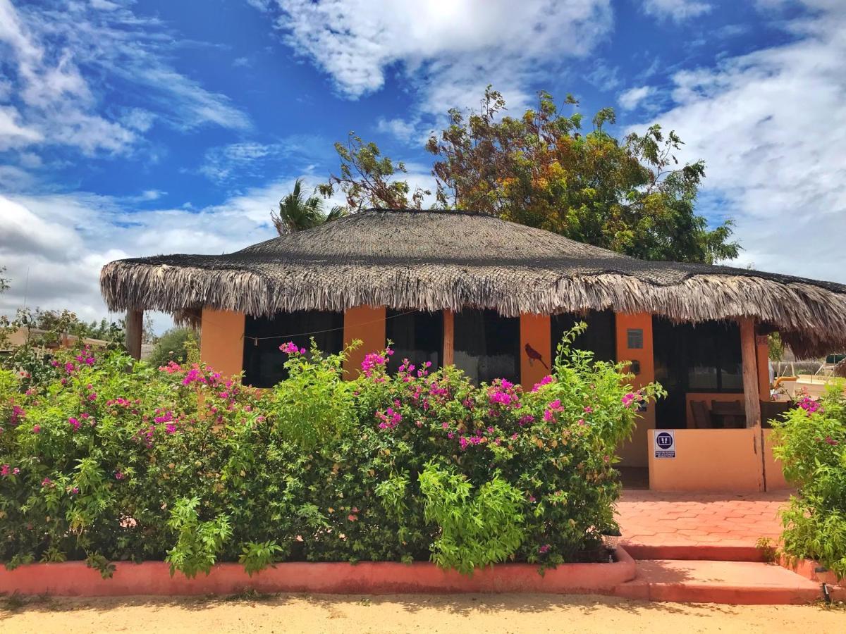 Bungalows Cabo Pulmo Exterior foto
