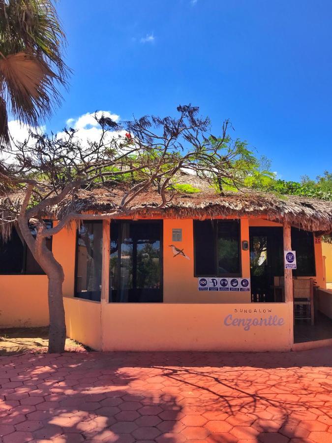 Bungalows Cabo Pulmo Exterior foto