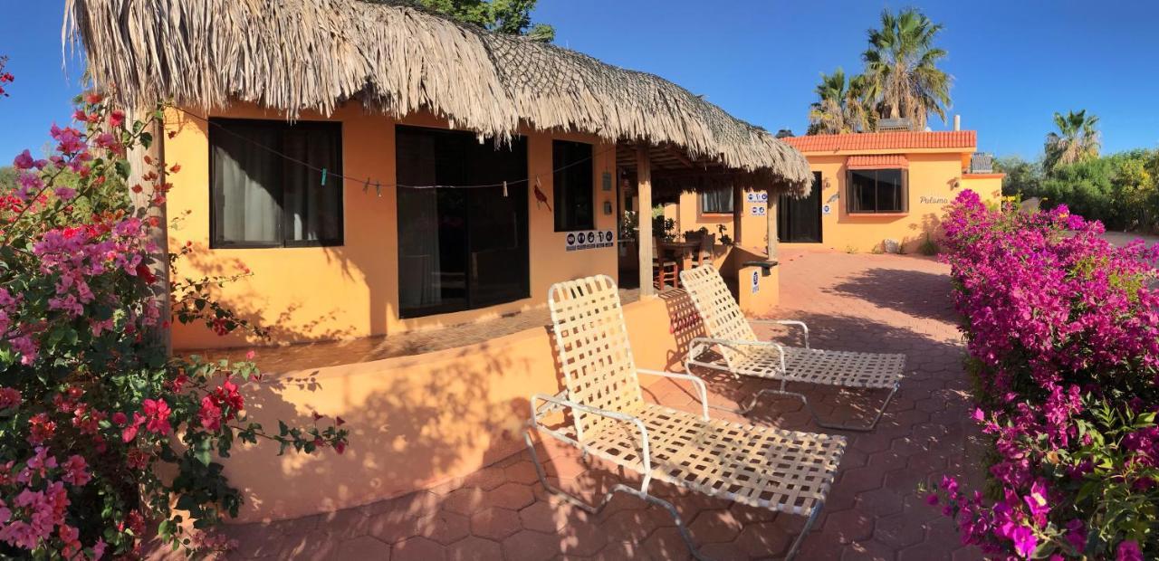 Bungalows Cabo Pulmo Exterior foto